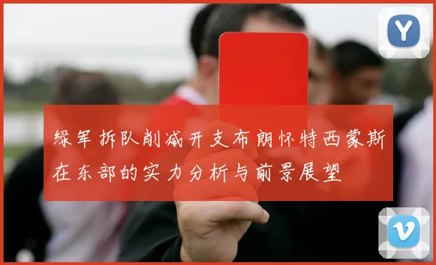 绿军拆队削减开支布朗怀特西蒙斯在东部的实力分析与前景展望
