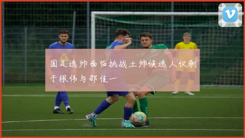 国足选帅面临挑战土帅候选人仅剩于根伟与邵佳一