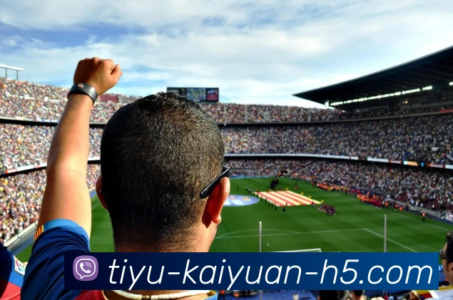 App Interface Preview