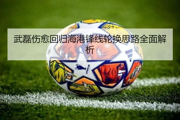 武磊伤愈回归海港锋线轮换思路全面解析 | kaiyuan